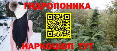 шишки Кунгур
