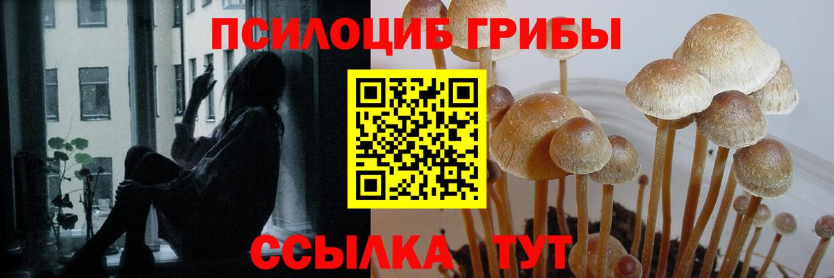 Псилоцибиновые грибы Psilocybine cubensis  Галлюциногенные грибы MAGIC MUSHROOMS  Вход с VPN  Касимов 