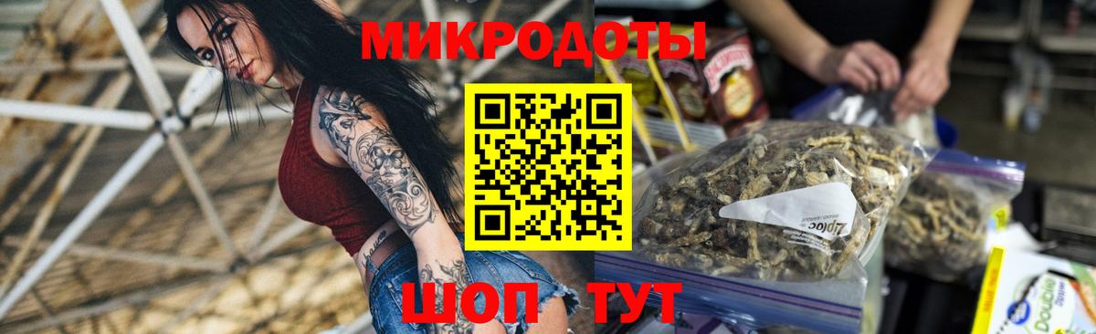 Псилоцибиновые грибы мицелий Касимов